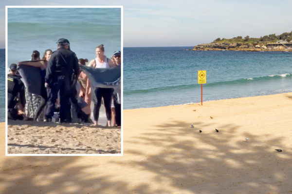 Coogee Beach Shark Attack Leaves Sydney Swimmer Seriously Injured